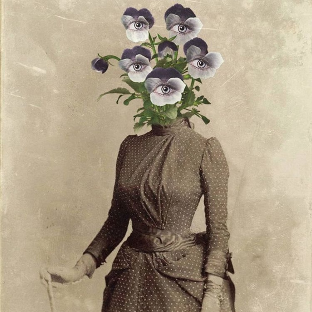 Meet your Posher, Caroline